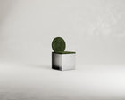 FRAGUA CHAIR S1